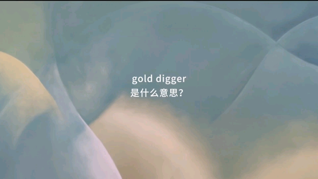 [图]gold digger是什么意思