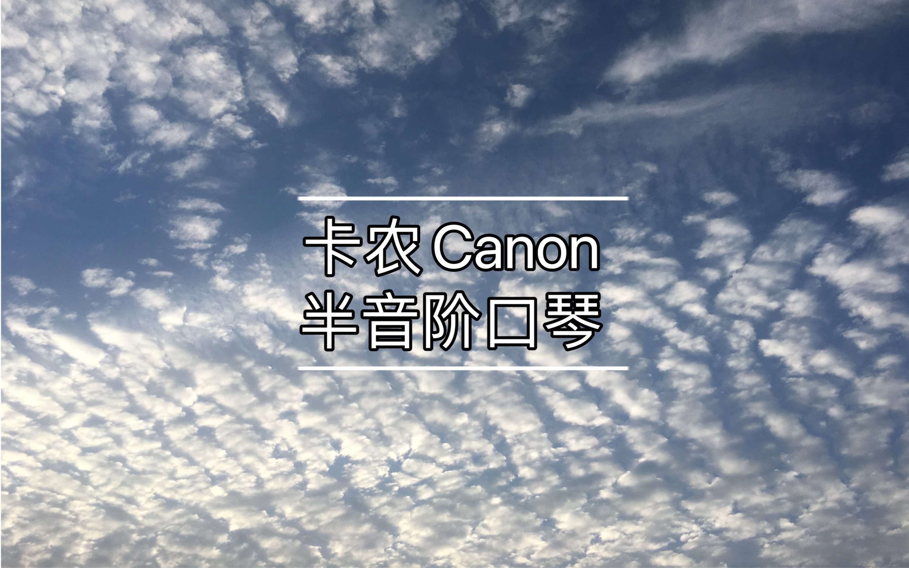 [图]卡农Canon C调 半音阶口琴