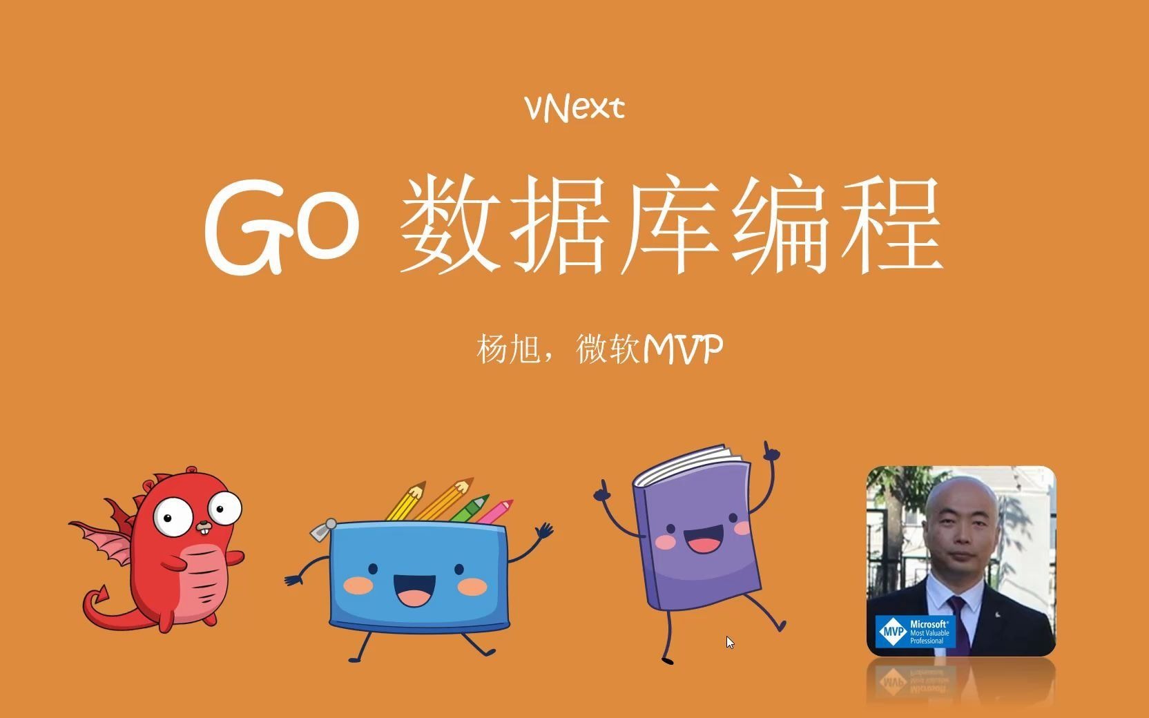 Go语言(Golang)数据库编程(完结)哔哩哔哩bilibili