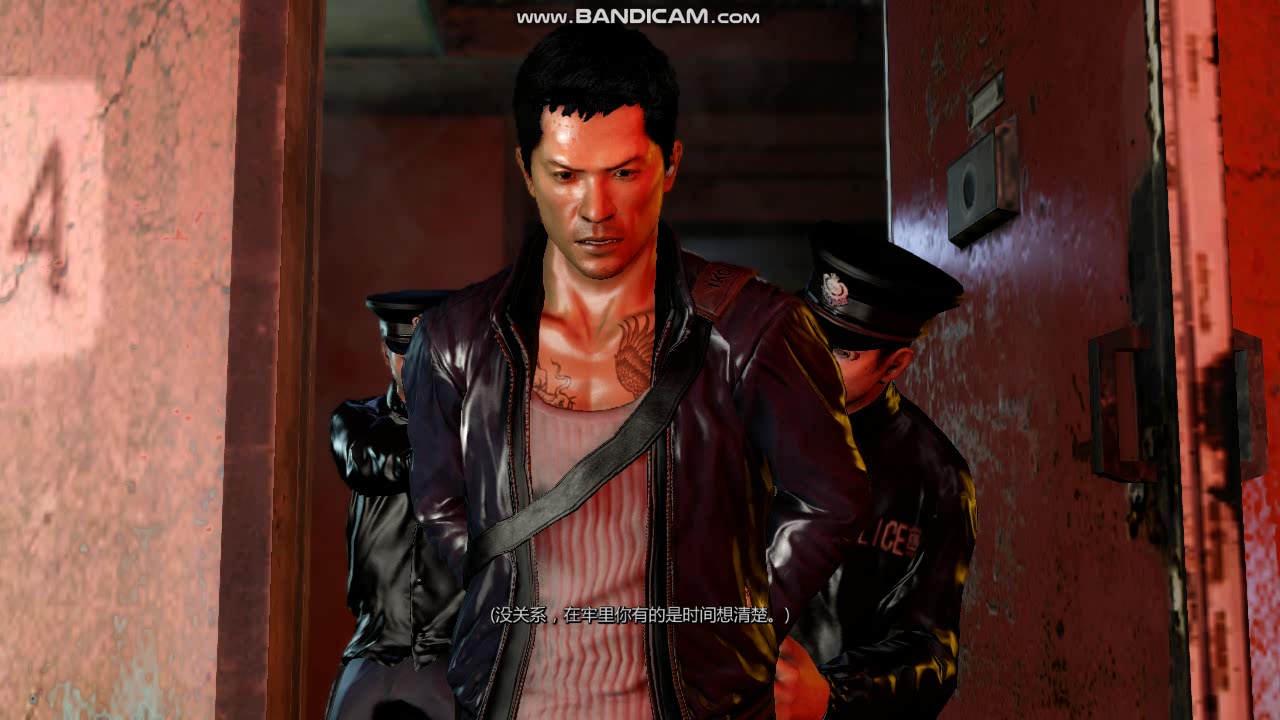 【sleeping dogs】