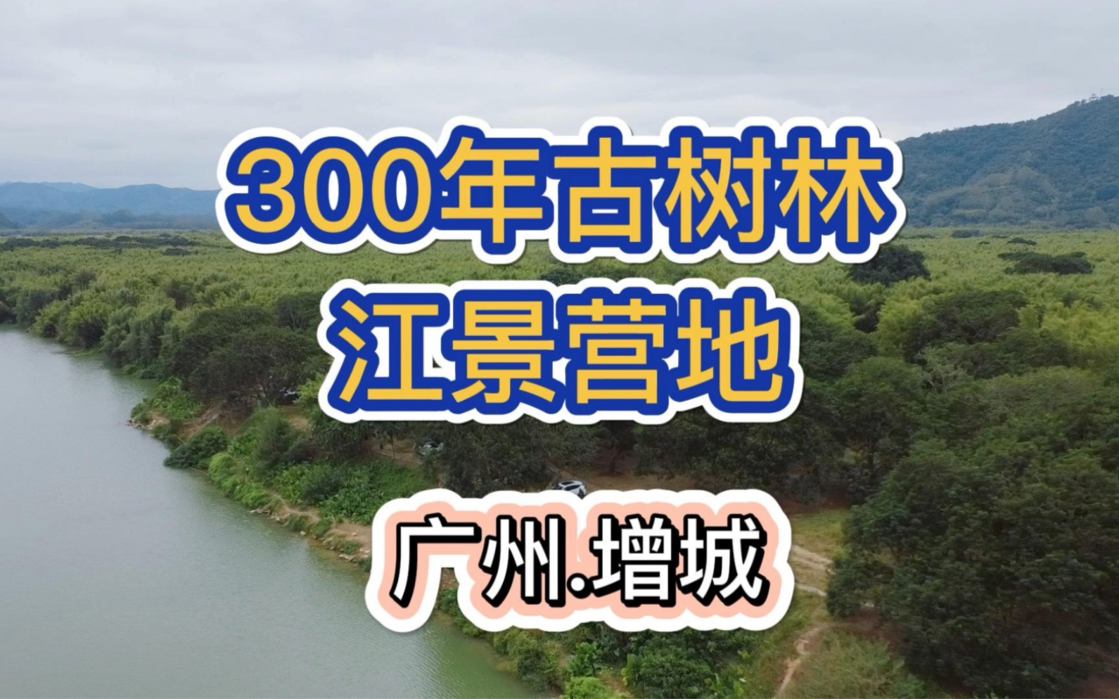 [图]在300年古树林下露营，体验超棒，广州增城露营宝藏地