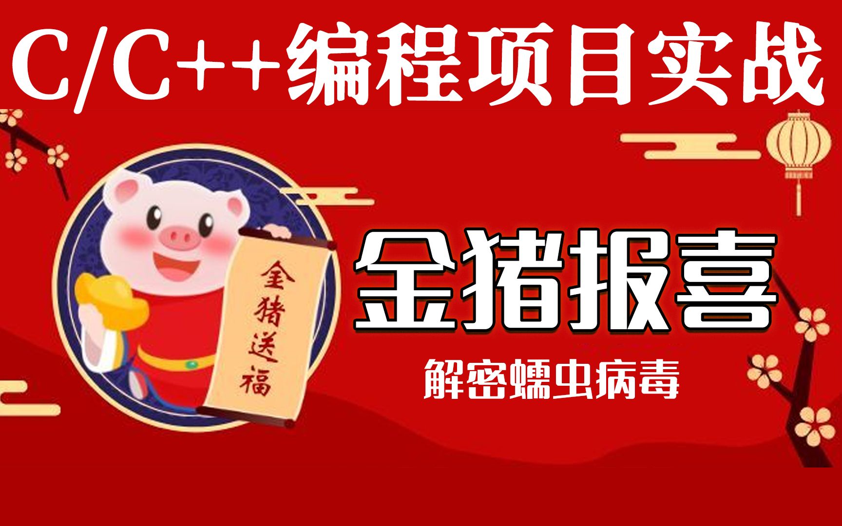 神级程序员仅用c语言就可揭密及打造著名变种"金猪报喜",看完不得不服