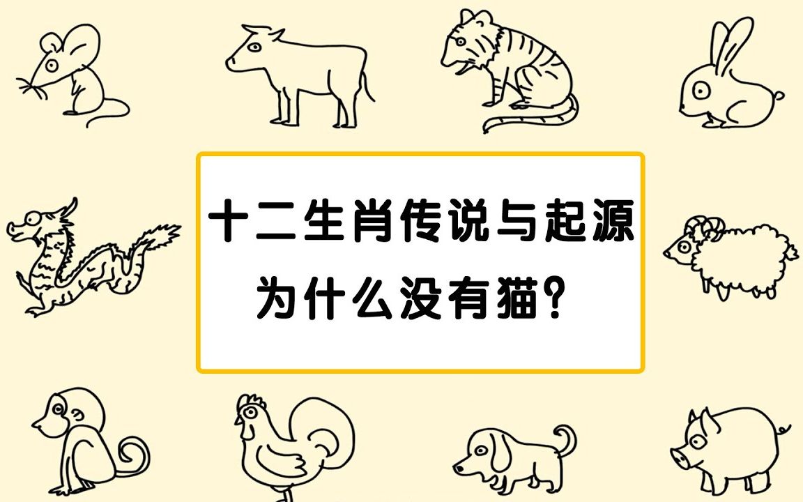 有点意思# 2020年是中国鼠年,十二生肖的传说和来历, 十二生肖里为什么没有猫?12生肖只有中国有吗?哔哩哔哩bilibili