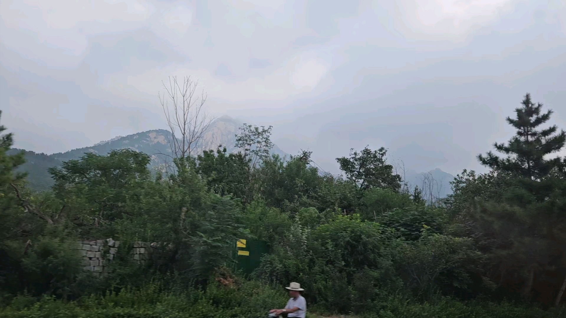 泰安环山路沿途美景