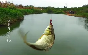 Скачать видео: 野钓：大风降温天鱼好钓吗？水库上游寻野坑，试试看