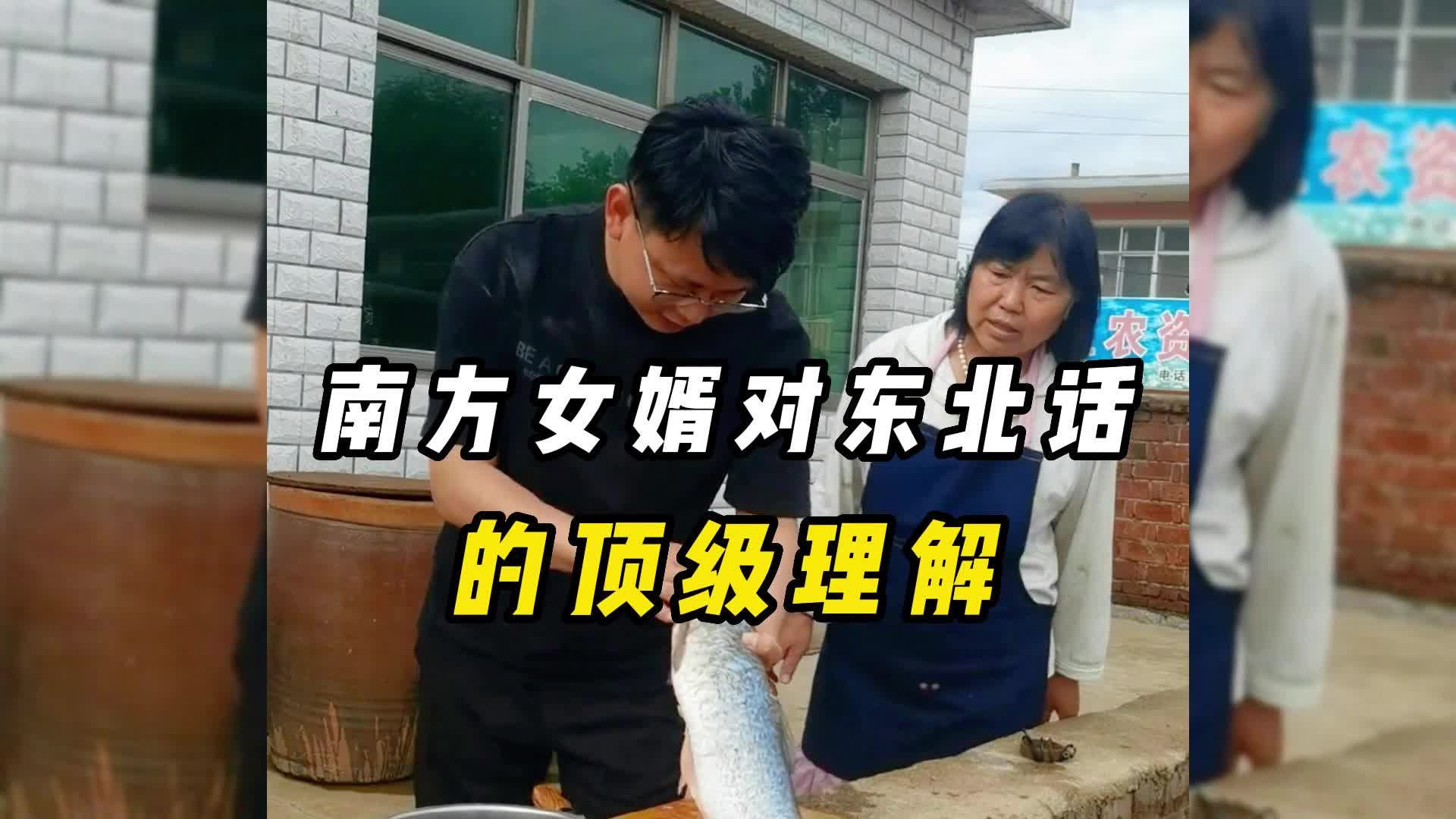 盘点南方女婿对东北话的顶级理解,总感觉哪里做错了#搞笑视频