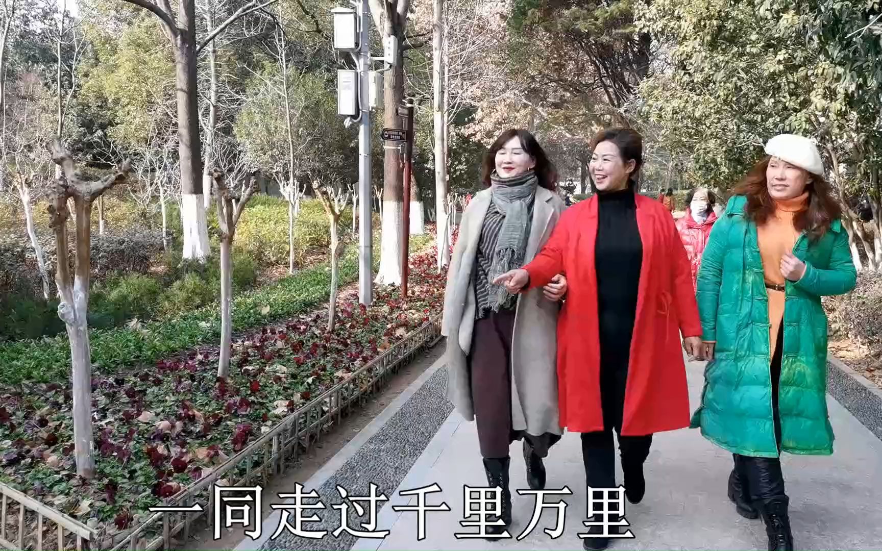 真诚的美丽(字幕)