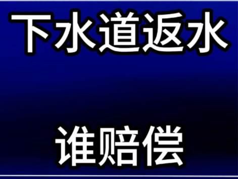 下水道返水谁赔偿 #物业克星 #物业 #物业服务 @物业克星哔哩哔哩bilibili