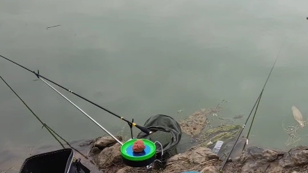 钓鱼空军的一天