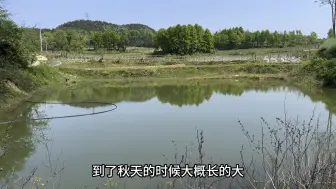 Скачать видео: 回农村养老，靠什么赚钱养活自己，养点鸡鸭再种几亩地怎么样？