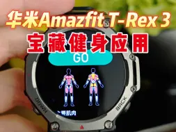 Amazfit T-Rex 3健身应用程序