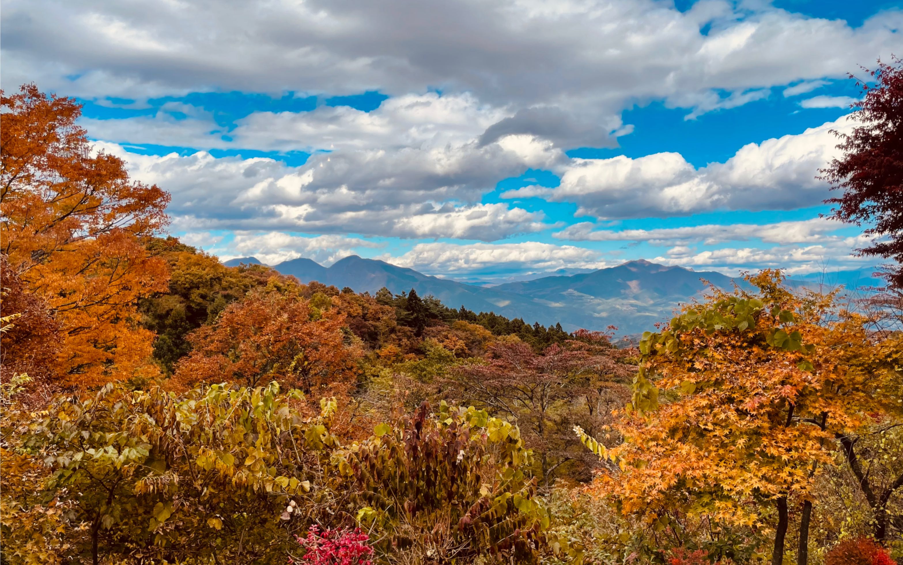 【伊香保】群马县涉川伊香保 | 日本文学家德富芦花故居 | 传统和式