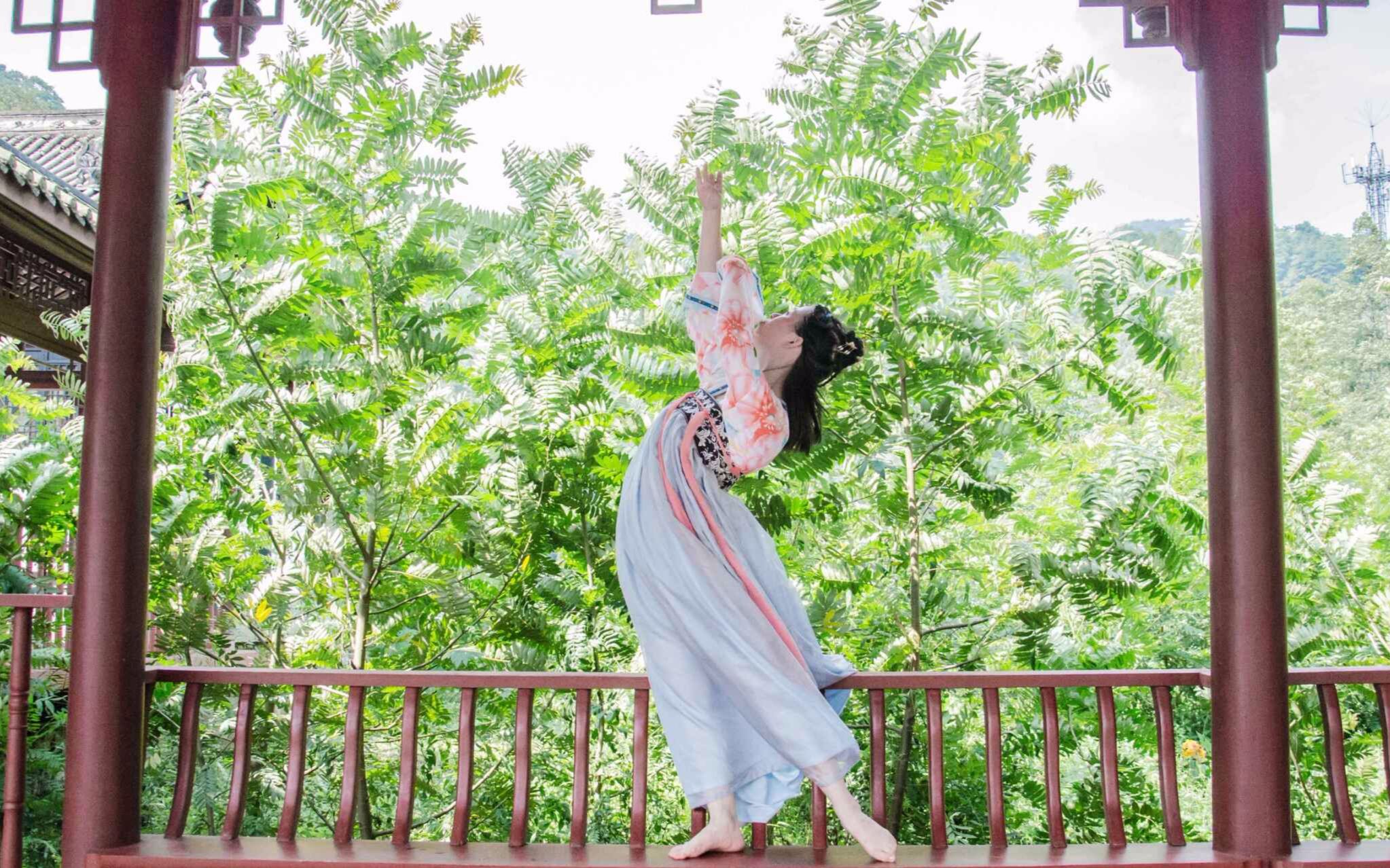 【橘子】 初投稿 牡丹灯笼 原创即兴 中秋作