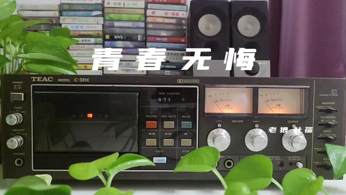 老狼,叶蓓深情合唱经典金曲《青春无悔》,致我们逝去的青春!