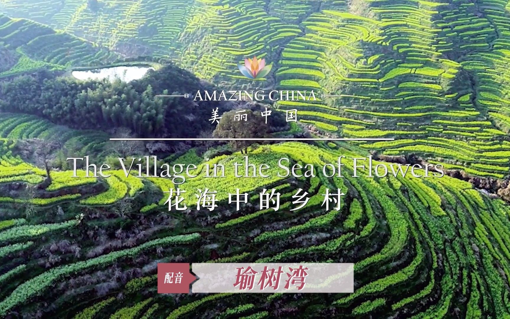 [图]20 花海中的乡村 《美丽中国》（Amazing China）