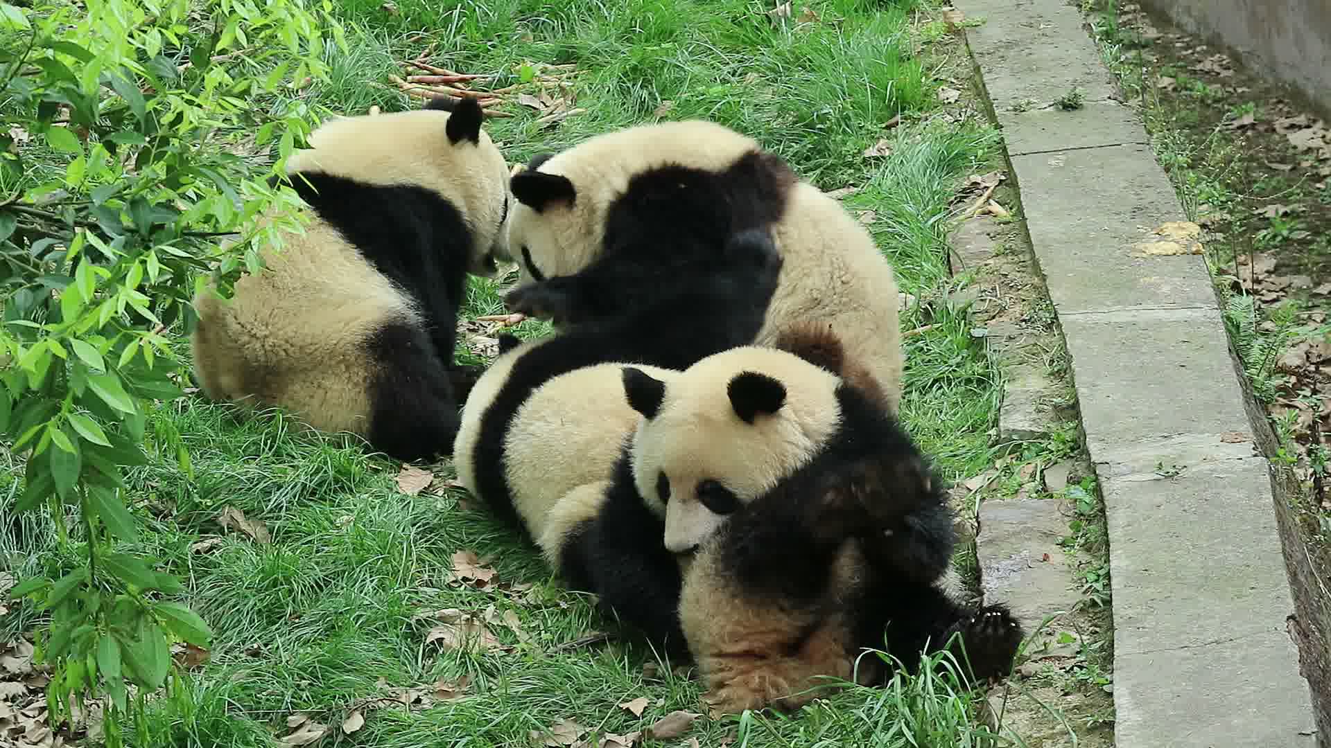 [图]【二号花园】斧头山F4加餐后续