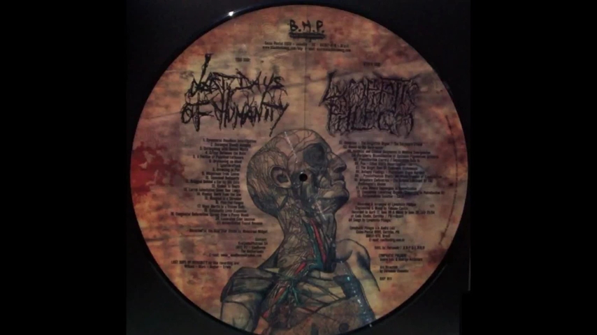 [图]【血碾|Split】Last Days Of Humanity / Lymphatic Phlegm - split (2004 - Goregrind)