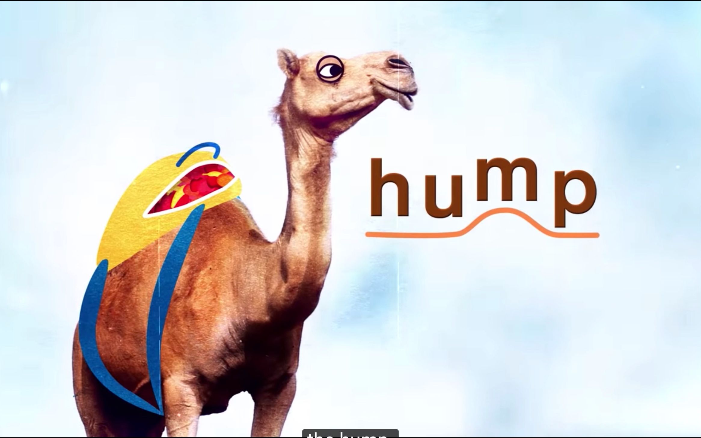 whats inside a camel hump?