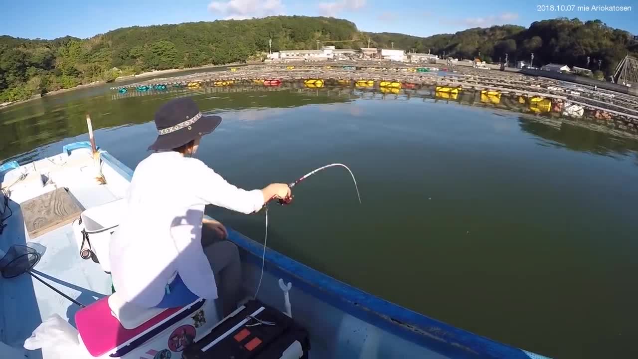 妹子筏竿钓黑立抽竿溜鱼一气呵成