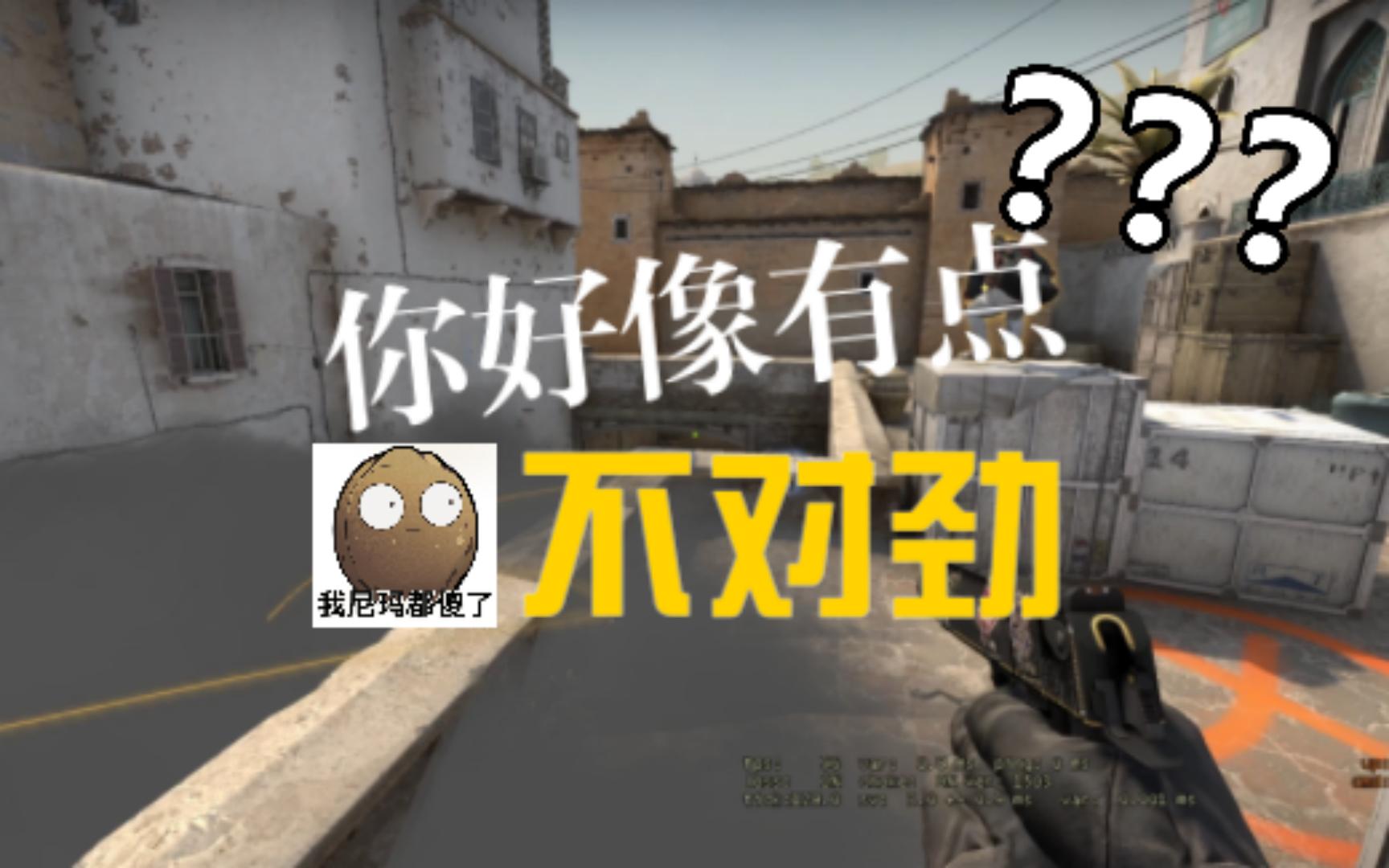 [图]【CS:GO】我与我的沙雕队友的区别