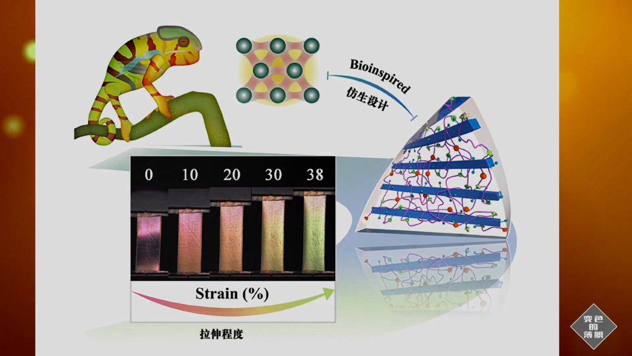 变色龙皮肤启发下的最新伸缩变色材料!大自然的科学指引!哔哩哔哩bilibili