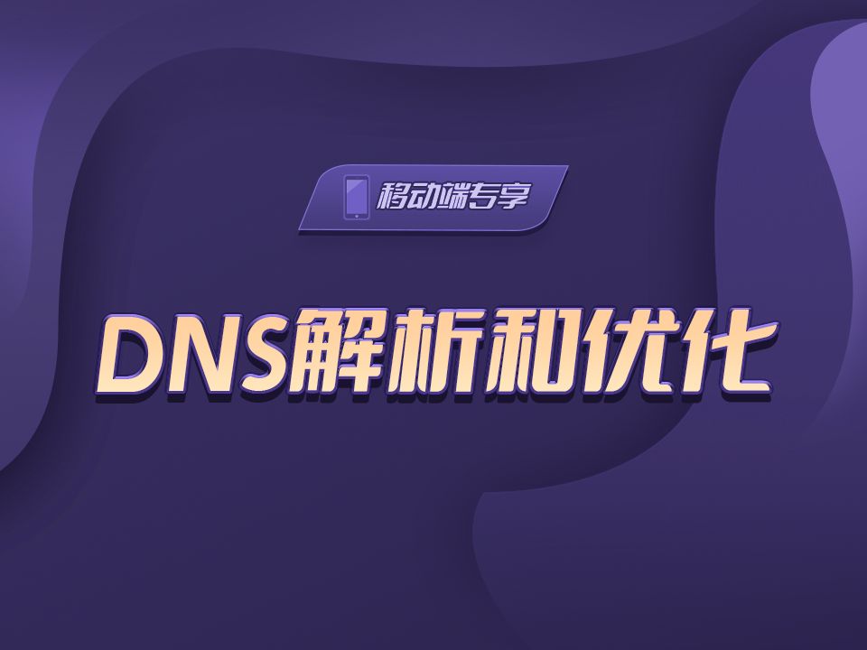 DNS解析和优化【渡一教育】哔哩哔哩bilibili