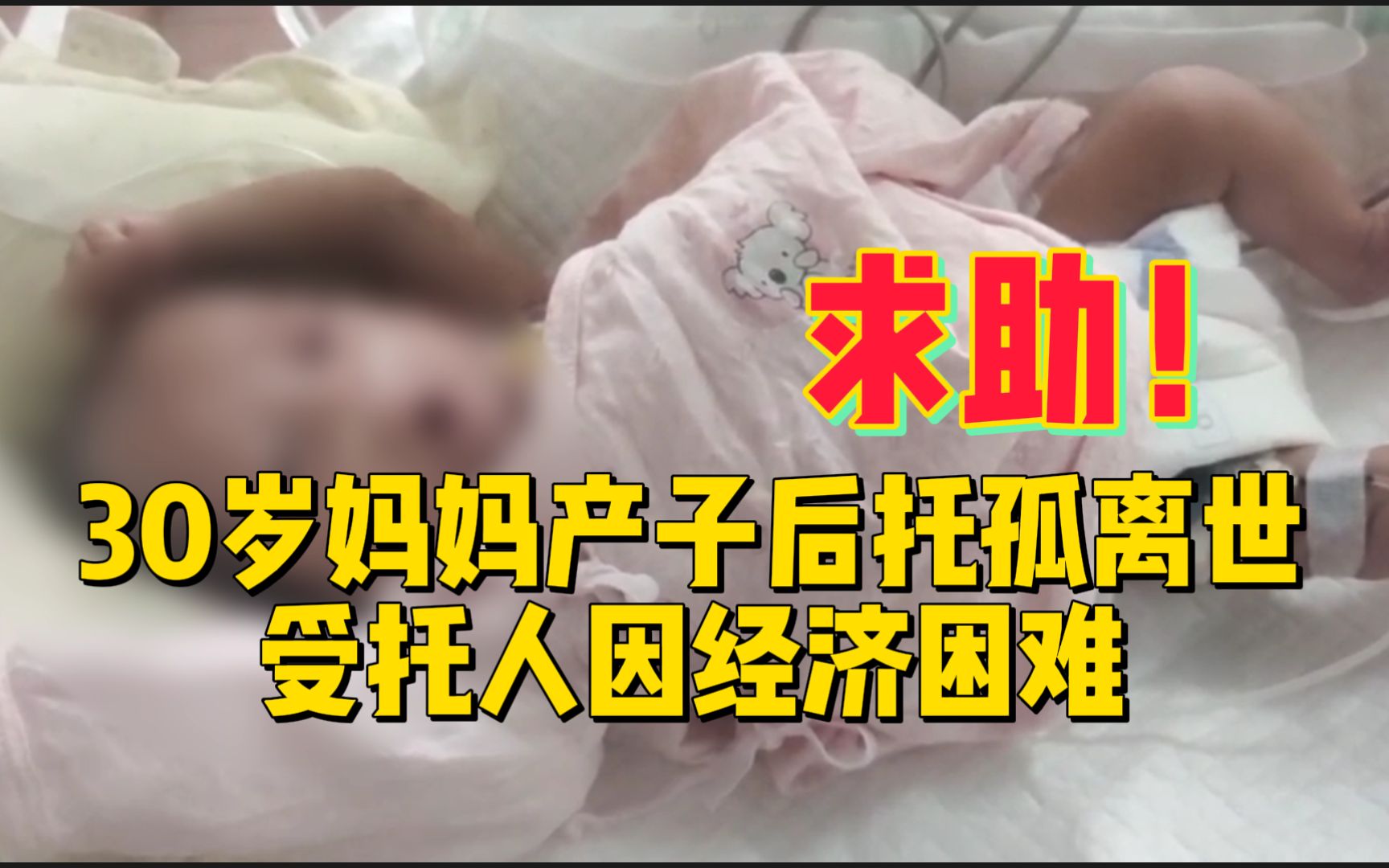 30岁妈妈产子后离世,孩子托付朋友抚养,受托人因经济困难求助哔哩哔哩bilibili