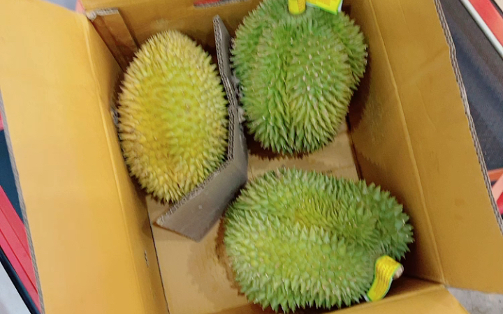 泰国小品种榴莲诺卡兹开箱过熟了过熟了心痛