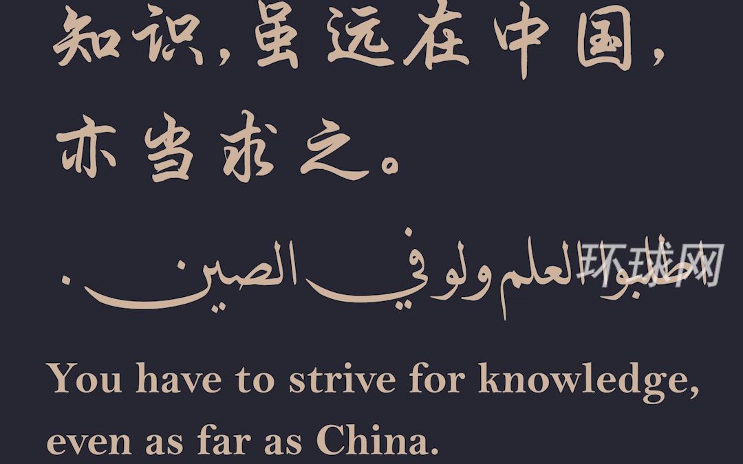 华春莹引用阿拉伯名言:知识,虽远在中国,亦当求之哔哩哔哩bilibili