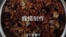 从蜂箱中取出来的蜂蜡 杂质比较多 提纯蜂蜡很关键 哔哩哔哩 つロ干杯 Bilibili