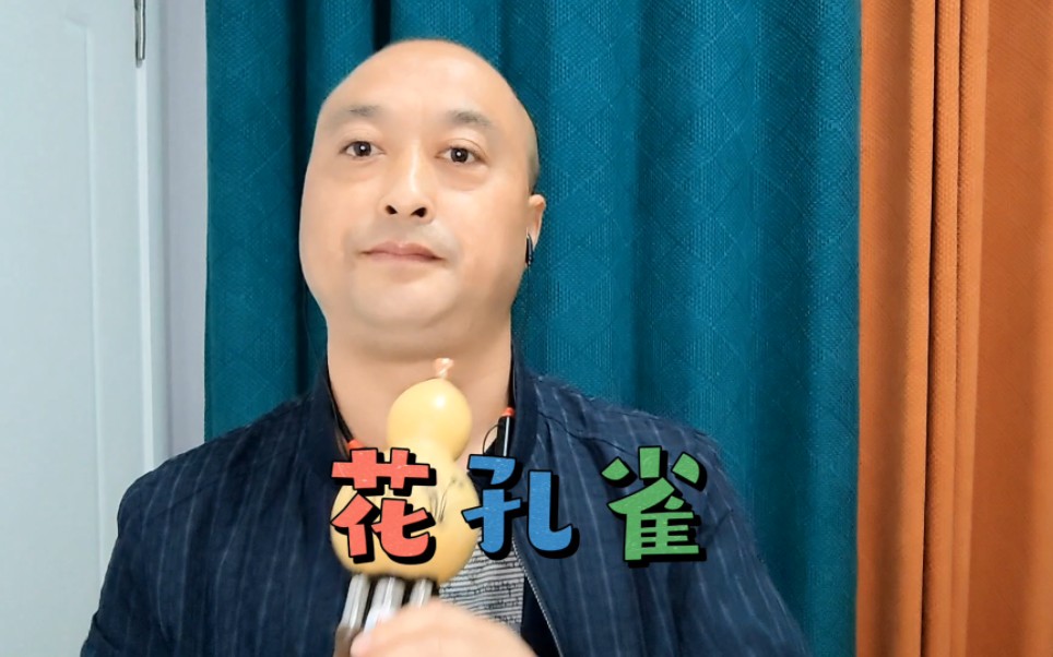 葫芦丝《花孔雀》傣味十足,旋律优美,好听好听.