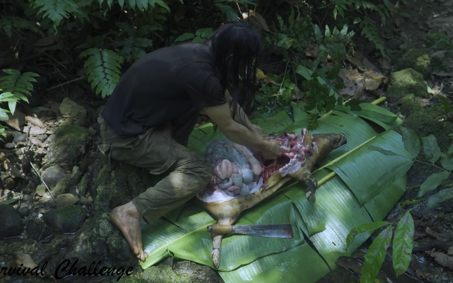 原始丛林人6个月的丛林生存第118集狩猎荒野求生野外生存