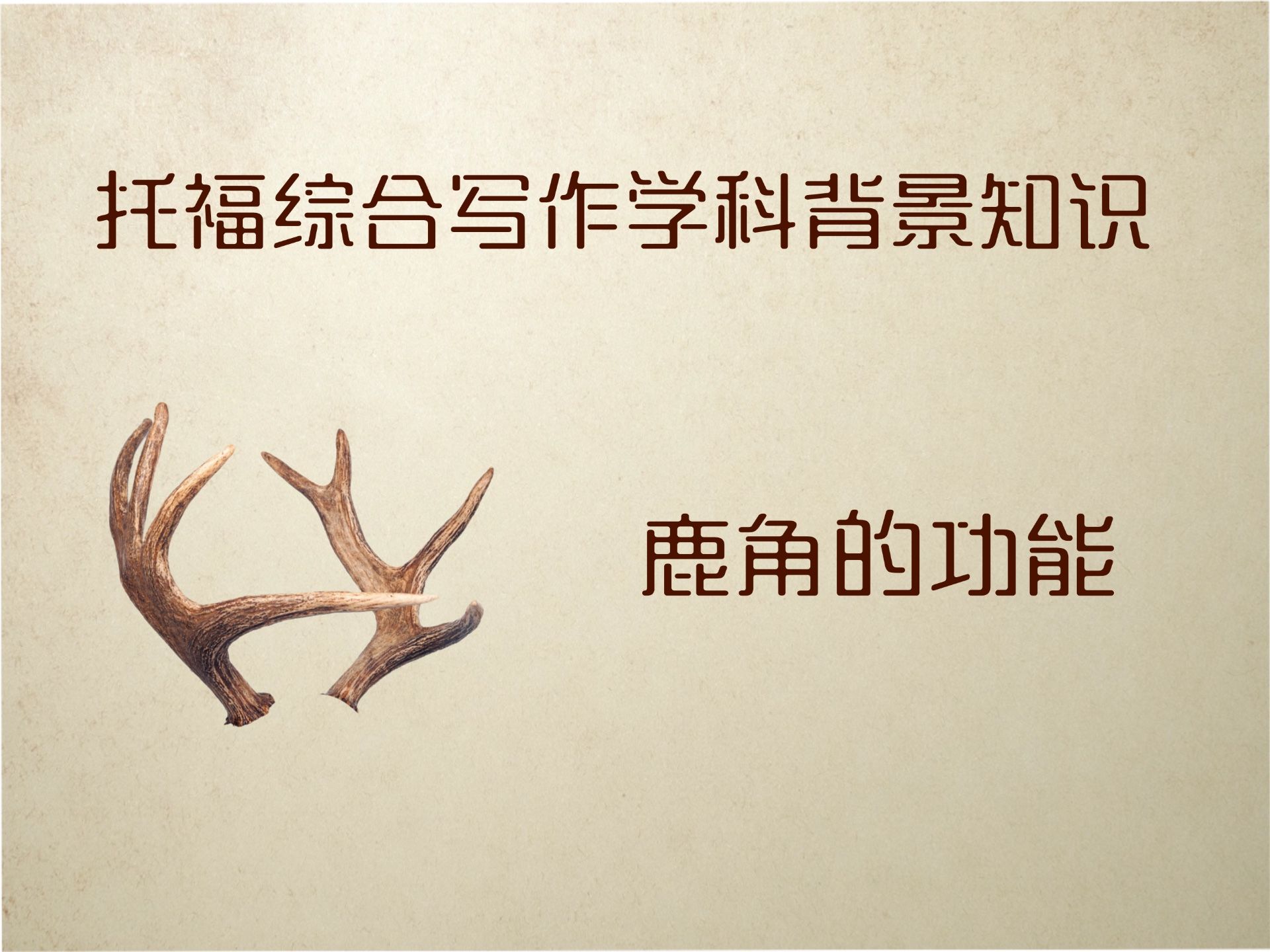 托福综合写作学科背景知识deer antler哔哩哔哩bilibili