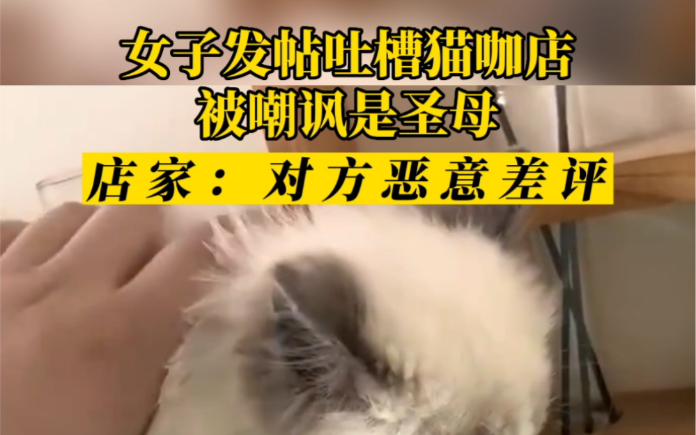 女子猫咖店被抓伤吐槽后遭店家嘲讽,店家:对方恶意差评哔哩哔哩bilibili