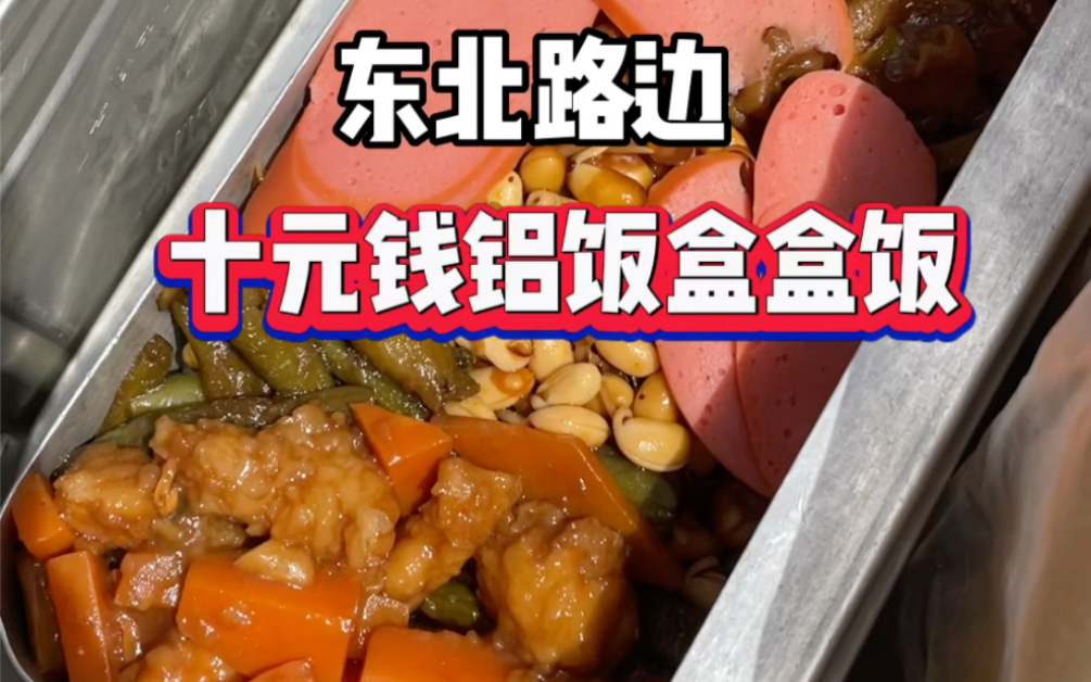 东北路边十元铝盒盒饭,足有二斤重!哔哩哔哩bilibili