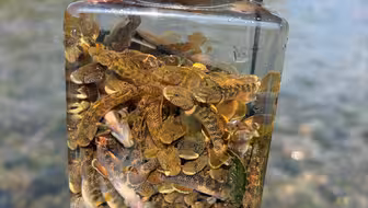 随手一捞，便是童年！
