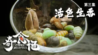 Video herunterladen: 【纪录片】奇食记2  03 活色生香