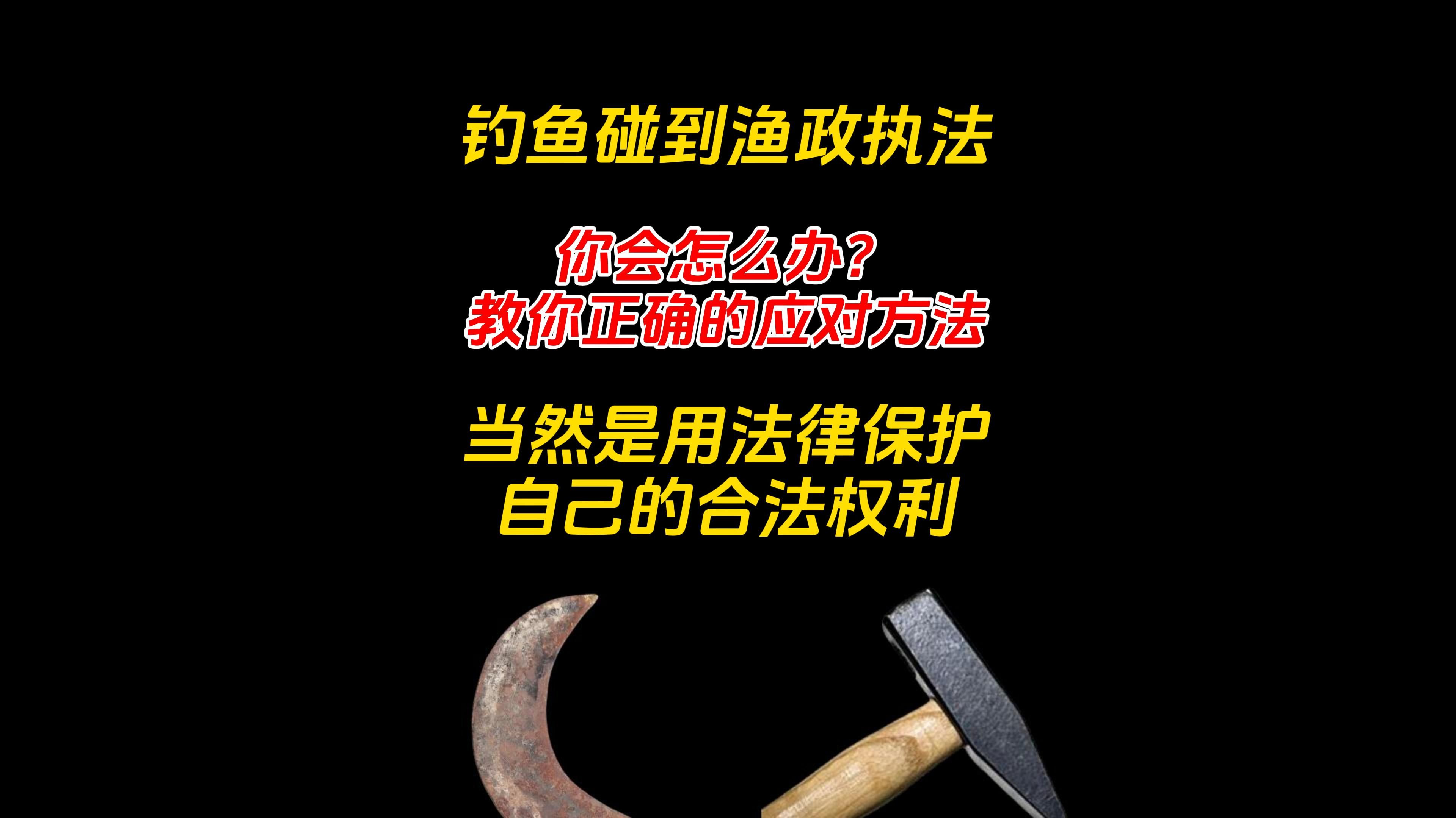 钓鱼碰到渔政执法,你会怎么办?教你正确的应对方法,用法律保护自己的合法权利哔哩哔哩bilibili