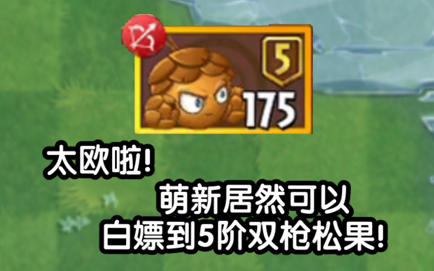 萌新喜提5阶双枪松果!限时宝物直接出?