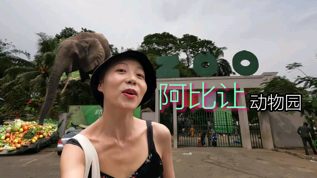 Ep.32 阿比让动物园|Yankii in Africa哔哩哔哩bilibili