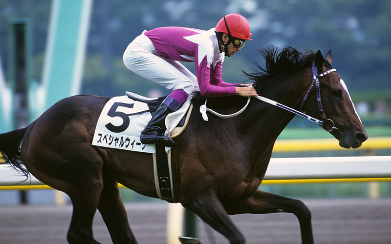 特别周生涯非gi重赏优胜合集1080p