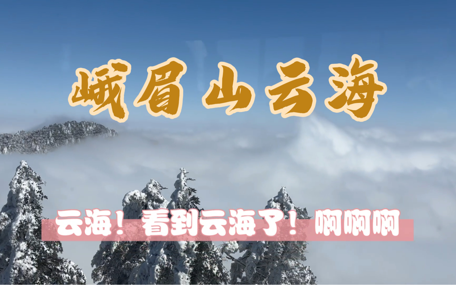 峨眉山金顶索道,三分钟带你体验云上飞天!哔哩哔哩bilibili