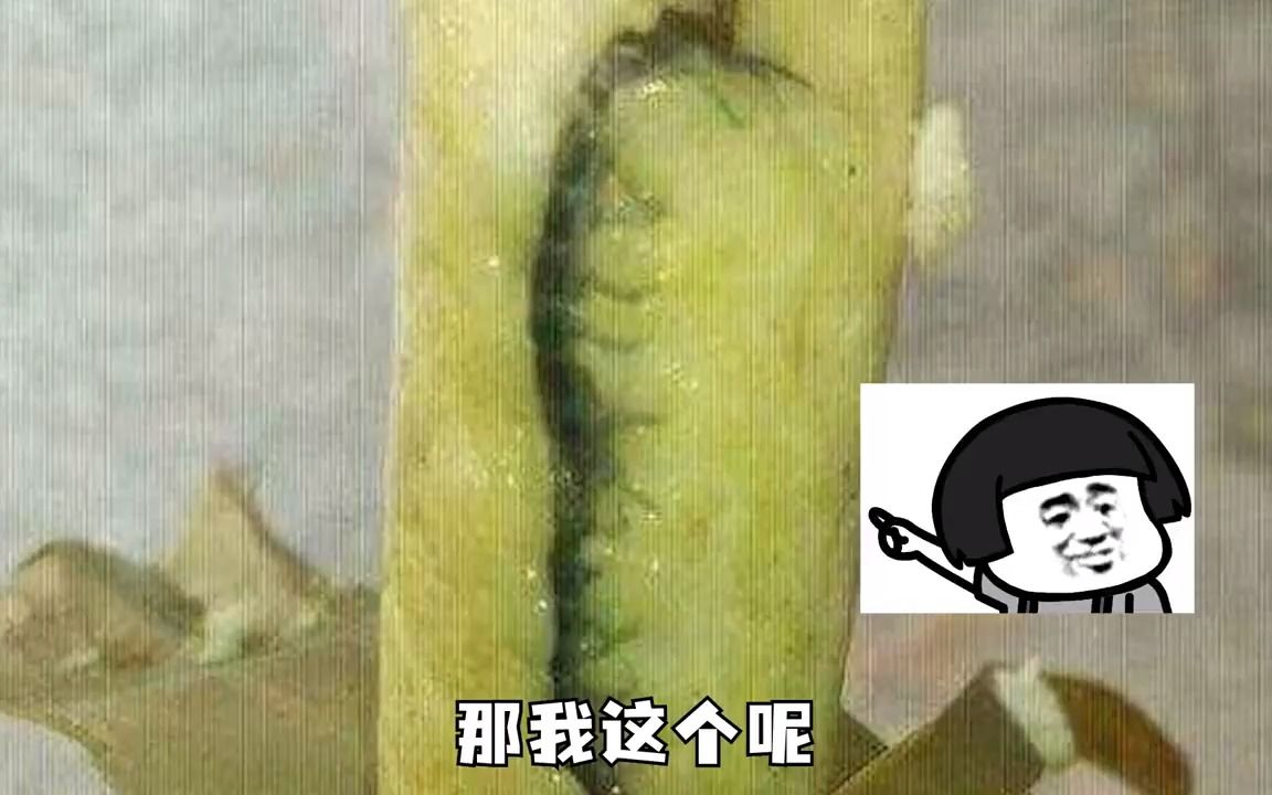 网友们粽子馅儿大比拼~屈原看了都摇头:心里有我就行!不必这样哔哩哔哩bilibili