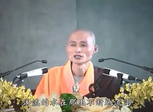 《善导大师的净土思想》31 不虑妄念,称名必生 (二) | 净宗法师哔哩哔哩bilibili