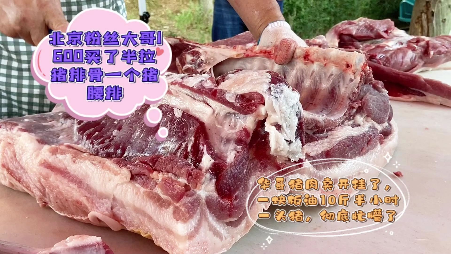 10斤猪肉实物图图片