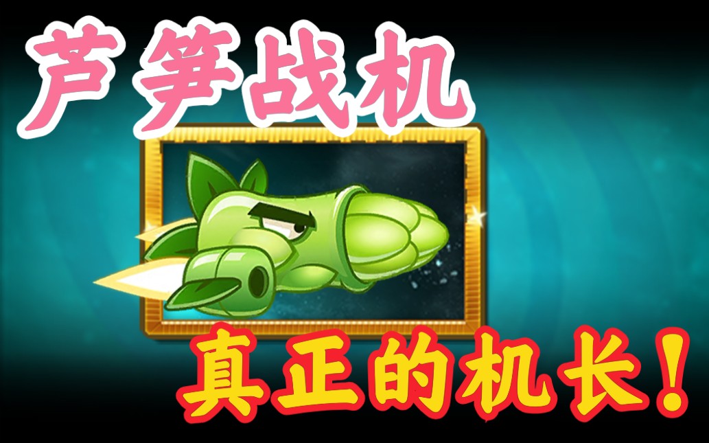 芦笋战机真正的机长