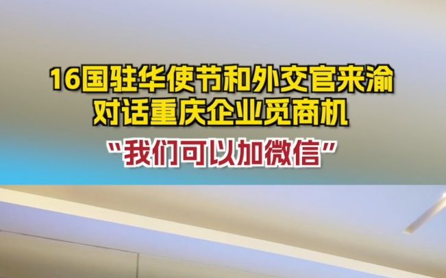 “我们可以加微信”16国驻华使节和外交官来渝 对话重庆企业觅商机哔哩哔哩bilibili