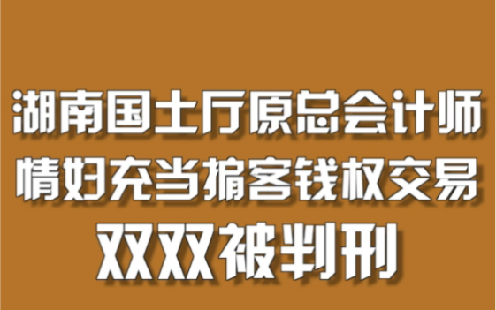 湖南国土厅原总会计师,情妇充当掮客钱权交易,双双被判刑哔哩哔哩bilibili