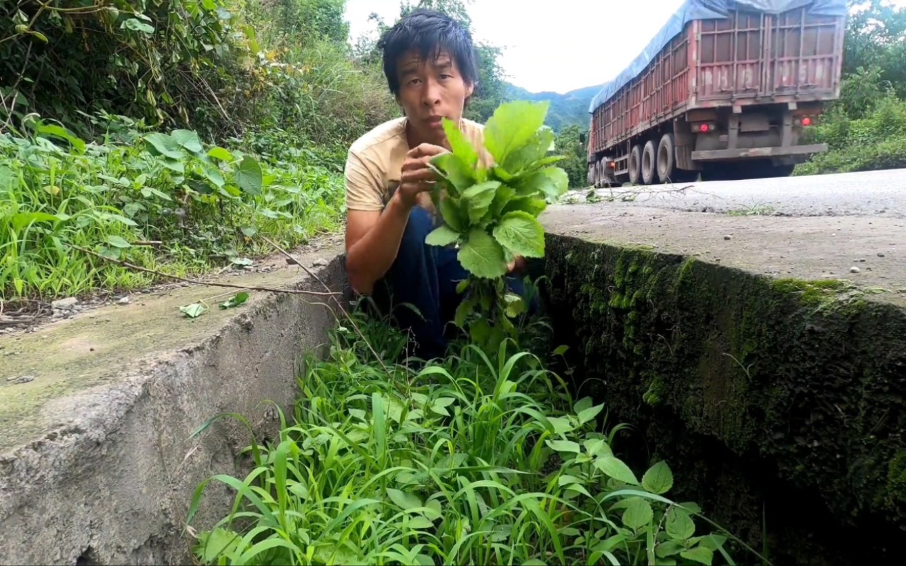 [图]怀念吃野菜的时光那时候出来穷游不用太花钱就能玩一天，到西藏后很难摘到野菜吃，而且买菜消费很高