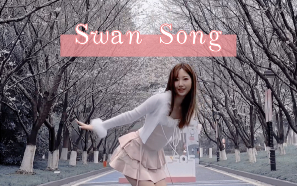 𐟌𘦨𑨊𑦠‘下的Swan Song𐟌𘥓”哩哔哩bilibili